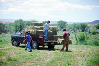 Montoya farm, Hay baling 004 thumbnail