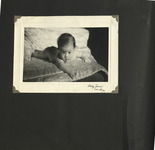 file details