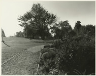 [Students sitting on present-day O'Neill Green] thumbnail