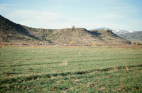 Gallegos farm 028 thumbnail