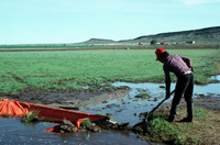 Gallegos farm, Irrigation 004 thumbnail