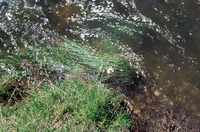 Watershed and canals 020 thumbnail