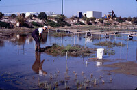 Pt. Mugu Wetlands thumbnail
