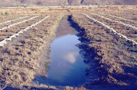 Pt. Mugu Wetlands thumbnail