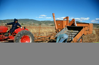 Gallegos farm, Hay baling 002 thumbnail
