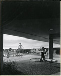[Woman posing on a trampoline] thumbnail