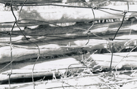 Fences 004 thumbnail