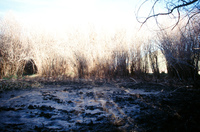 Gallegos farm 032 thumbnail