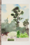 Pines at Gate thumbnail