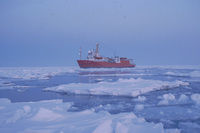 Polar Duke thumbnail