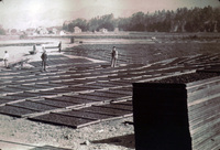 Prune Drying Yards near Santa Paula, CA thumbnail