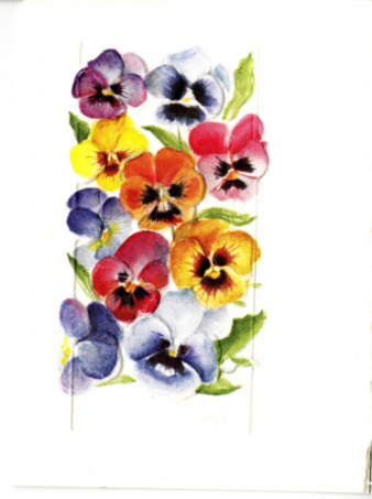 Birthday Card to Michele Serros thumbnail