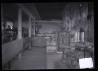 [Unidentified lab] thumbnail