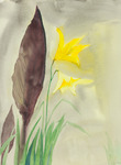 Yellow Flower & Gray Sky at home thumbnail