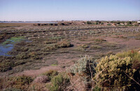Pt. Mugu Wetlands thumbnail
