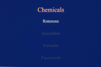 Diving Lecture thumbnail