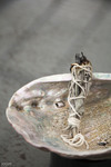 Native Voices Exhibit thumbnail