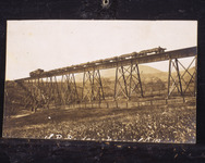Southern Pacific Railroad Trestle [copy negative] thumbnail