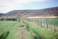 Kaber farm, Plowing and planting winter wheat 003 thumbnail