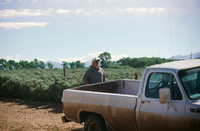 Logging protests 105 thumbnail