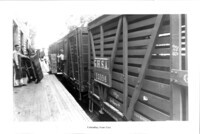 Cannery workers unloading from train cars. thumbnail