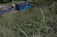 UCLA Scrub Patch thumbnail