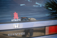 Gallegos farm, Ranching 035 thumbnail