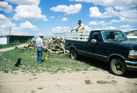 Kaber farm, Woodpile and fields 016 thumbnail