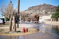 Logging protests 024 thumbnail