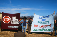 Logging protests 061 thumbnail
