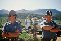 Logging protests 101 thumbnail