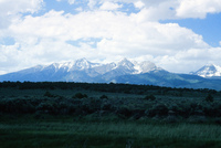 River and hay baling 015 thumbnail