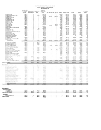2007 January Operating budget thumbnail