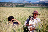 Kaber farm, Grain fields and landscapes 035 thumbnail