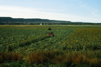 San Luis Valley farms 074 thumbnail