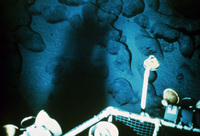 Untitled thumbnail
