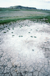 Torres ranch, Landscapes 004 thumbnail