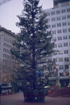 "Smallest" urban park in the United States thumbnail