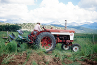 Kaber farm, Plowing 024 thumbnail