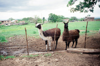 Lake Carrico 030 thumbnail