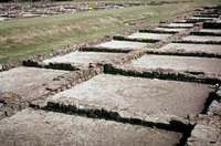 Legionary Fortress thumbnail