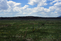 Farming in San Luis Valley 003 thumbnail