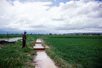 Kaber farm, Irrigating fields 045 thumbnail