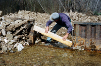 Maistas farm, Ditch and cattle 019 thumbnail
