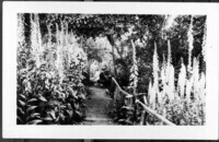 Sarah Anne Jane Locke Smith sitting in a garden with an unknown woman. thumbnail