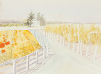 16 Rank Ranch thumbnail