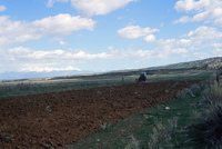 Farming in San Luis Valley 033 thumbnail