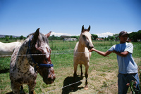 Montoya farm 014 thumbnail