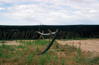 NAPI (Navajo Agricultural Products Industries) 049 thumbnail