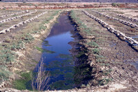 Pt. Mugu Wetlands thumbnail